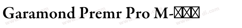 Garamond Premr Pro M字体转换